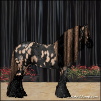 Horse Color:Void White Spotted Gold Champagne Splash Leopard 
