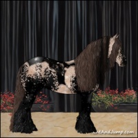 Horse Color:Void White Spotted Sable Champagne Ice Tobiano Appaloosa