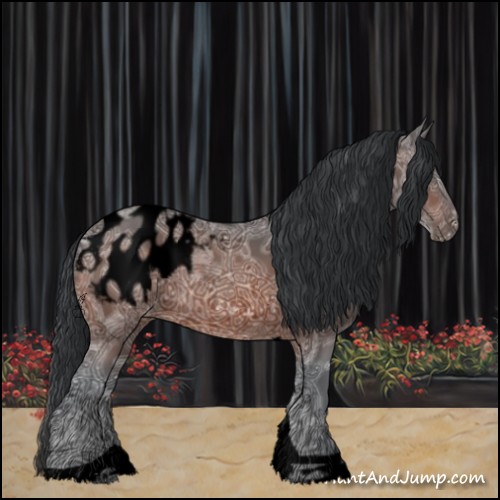 Horse Color:Void Bay Ice Tobiano Appaloosa 