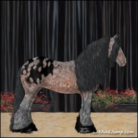 Horse Color:Void Bay Ice Tobiano Appaloosa