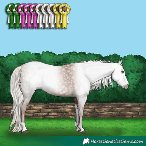 Horse Color:Gray Silver Black Pearl Tobiano 