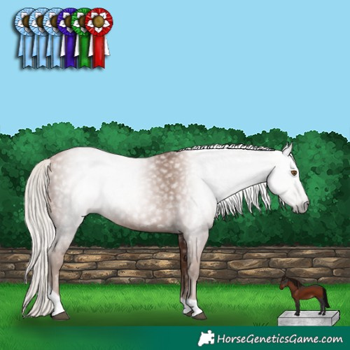 Horse Color:Gray Silver Black Pearl Tobiano 