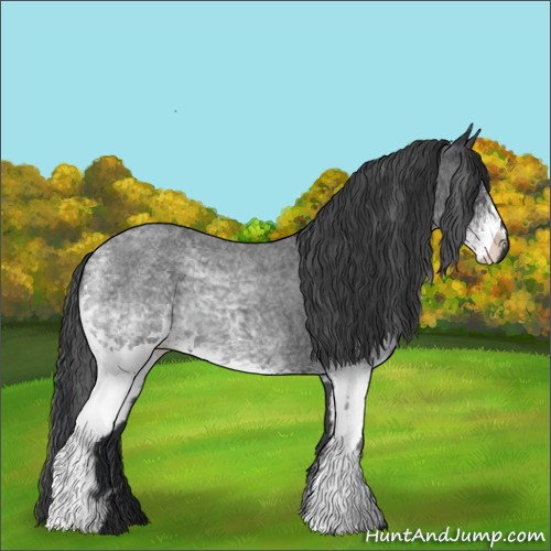 Horse Color:White Spotted Blue Roan 