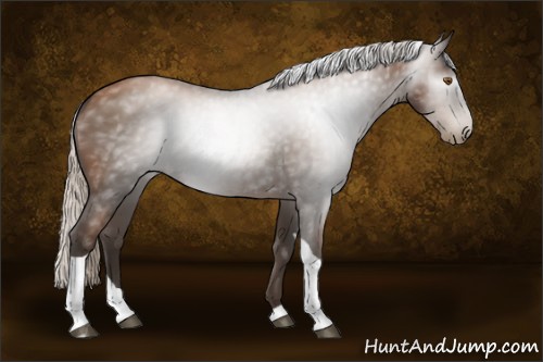 Horse Color:Gray Silver Black Pearl Tobiano 