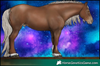 Horse Color:Gray Silver Black Pearl Tobiano