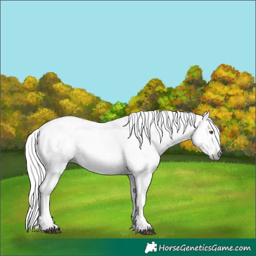 Horse Color:Gray Silver Black Pearl Tobiano 