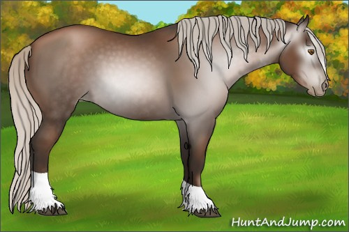 Horse Color:Gray Silver Black Pearl Tobiano 