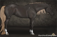 Horse Color:Liver Chestnut Tobiano 