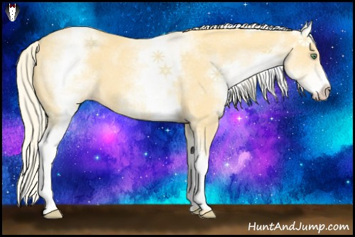 Horse Color:White Spotted Gold Cream Champagne
