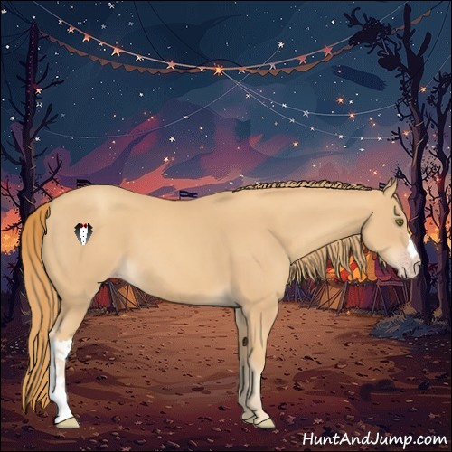 Horse Color:Gold Champagne