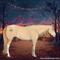Horse Color:Gold Champagne 