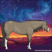 Horse Color:Smoky Grullo 