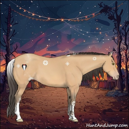 Horse Color:White Spotted Amber Champagne 
