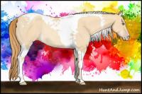 Horse Color:Gold Champagne Dun Tobiano Rabicano 
