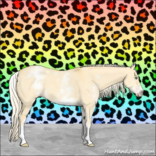 Horse Color:White Spotted Gold Cream Champagne Dun 