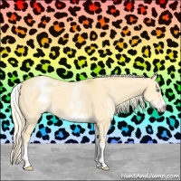 Horse Color:White Spotted Gold Cream Champagne Dun 