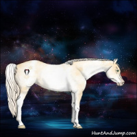Horse Color:White Spotted Gold Cream Champagne Dun 