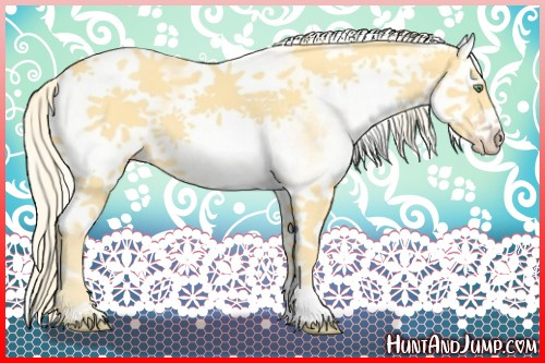 Horse Color:White Spotted Gold Cream Champagne Splash 