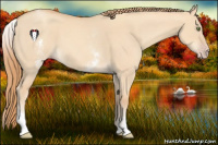 Horse Color:White Spotted Gold Champagne Dun 