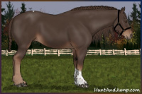 Horse Color:Liver Chestnut Tobiano 