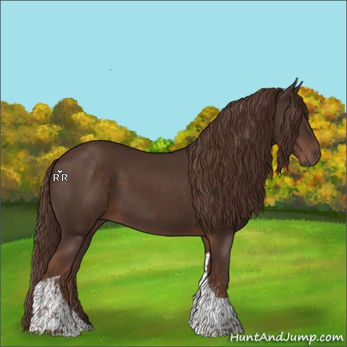 Horse Color:Liver Chestnut Tobiano 