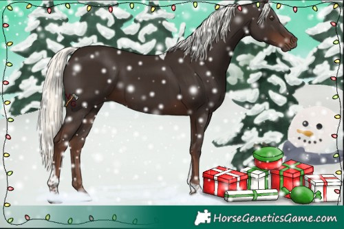 Horse Color:Liver Chestnut Mushroom Tobiano 