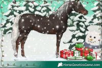 Horse Color:Liver Chestnut Mushroom Tobiano 