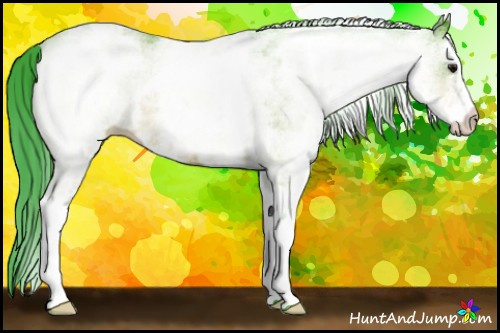 Horse Color:Watercolor White Spotted Bay 