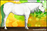 Horse Color:Watercolor White Spotted Bay 