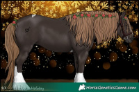 Horse Color:Liver Chestnut Tobiano 
