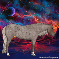 Horse Color:Silver Blue Roan 