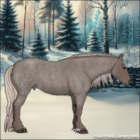 Horse Color:Silver Blue Roan Rabicano 