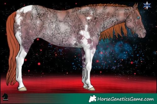Horse Color:Buckskin Ice Pearl Tobiano Rabicano