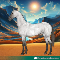 Horse Color:Grullo Roan Near Leopard