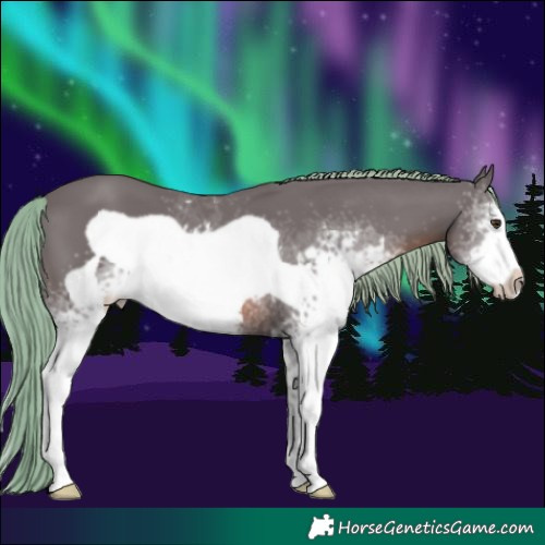 Horse Color:Watercolor White Spotted Chestnut Frame 