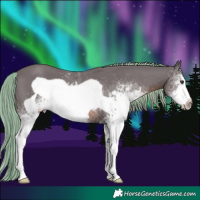 Horse Color:Watercolor White Spotted Chestnut Frame 