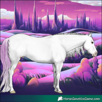 Horse Color:Watercolor White Spotted Chestnut Appaloosa 