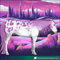 Horse Color:Watercolor White Spotted Chestnut Appaloosa 