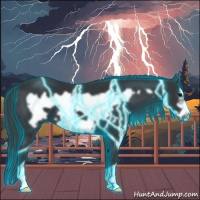 Horse Color:Thunderstruck Black Frame 
