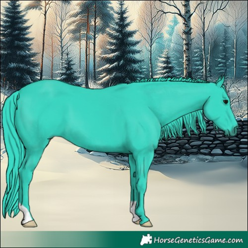 Horse Color:Watercolor Black 