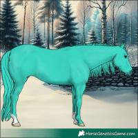 Horse Color:Watercolor Black 