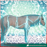 Horse Color:Thunderstruck Brown Varnish 