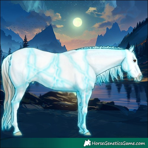Horse Color:Thunderstruck White Spotted Chestnut Appaloosa 