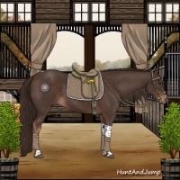 Horse Color:Liver Chestnut Tobiano 