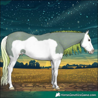 Horse Color:Watercolor Liver Chestnut Splash Frame 