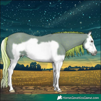 Horse Color:Watercolor Liver Chestnut Splash Frame