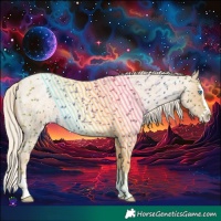 Horse Color:Palomino Roan Pearl Splash 