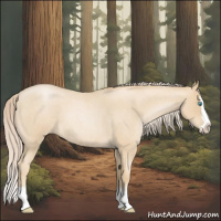 Horse Color:Palomino Roan Pearl Splash 