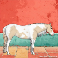 Horse Color:Red Dun Tobiano Frame 
