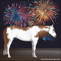 Horse Color:Chestnut Splash Frame